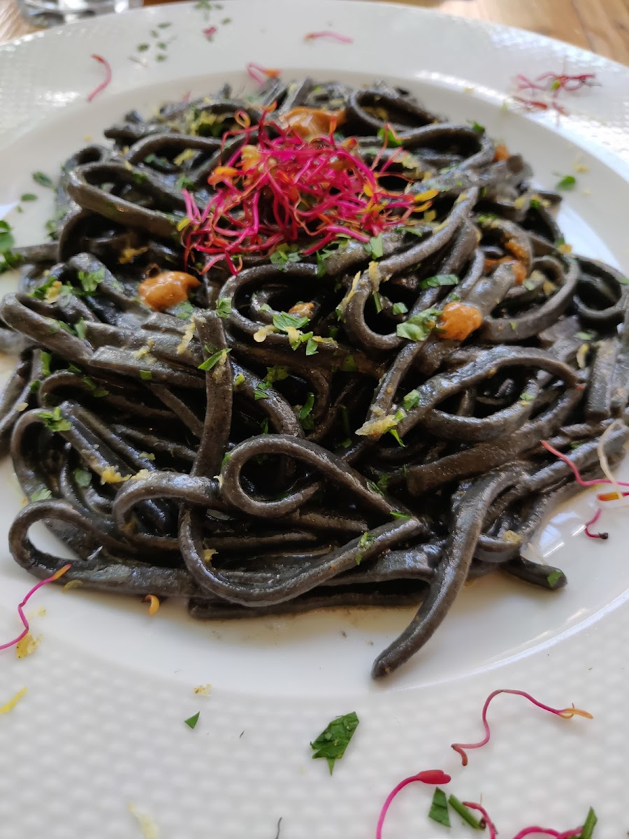 Palladino Kitchen & Bar-9